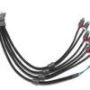 VX-INHARNESS-4CH-RP -Audio Equipment Store VX INHARNESS 4CH RP